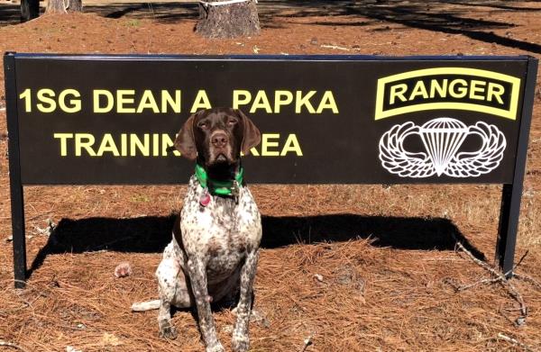 /Images/uploads/Southeast German Shorthaired Pointer Rescue/segspcalendarcontest2018/entries/8928thumb.jpg